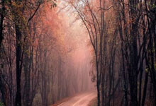 亿万28-关于荷甲赛程吃紧，那不勒斯清晨刷新队史纪录，压力陡增，团队化学反应显著的信息